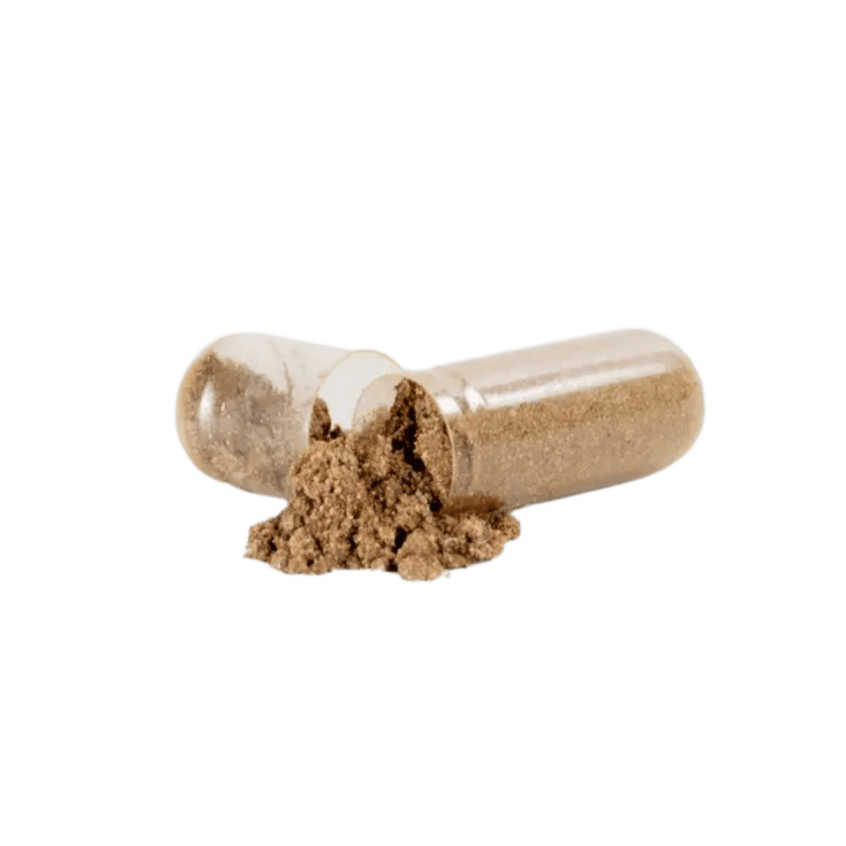 Prostate Support